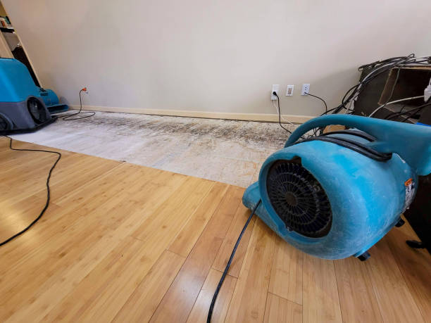 Professional Basement Flood Cleanup technician working in Goose Creek, SC